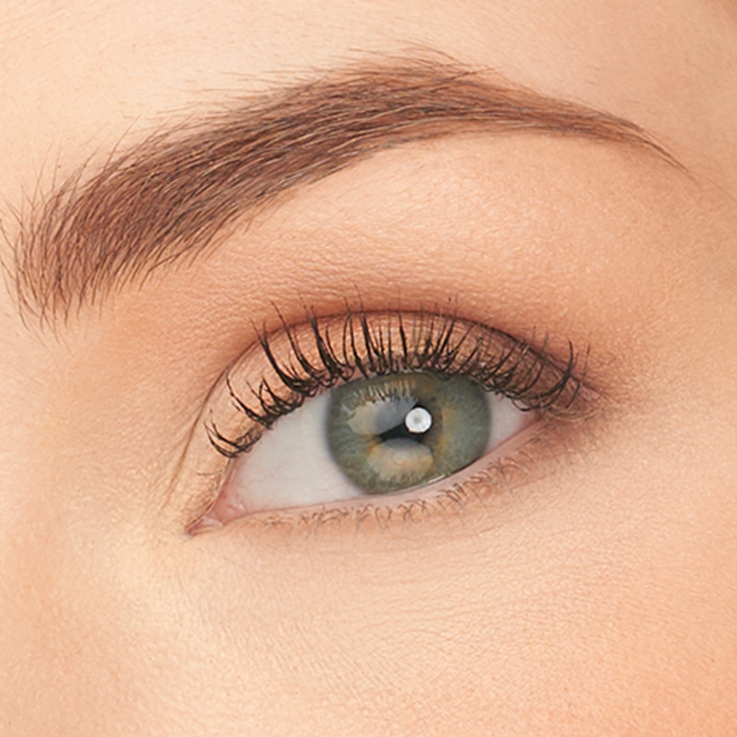 PurePressed Eye Shadow Palette