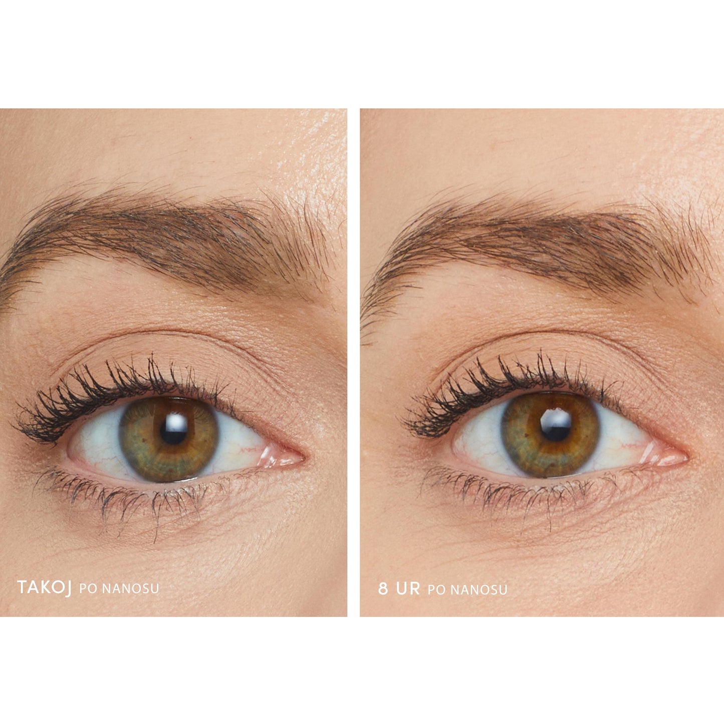 Lash Fixation Length end Definition Tubing Mascara