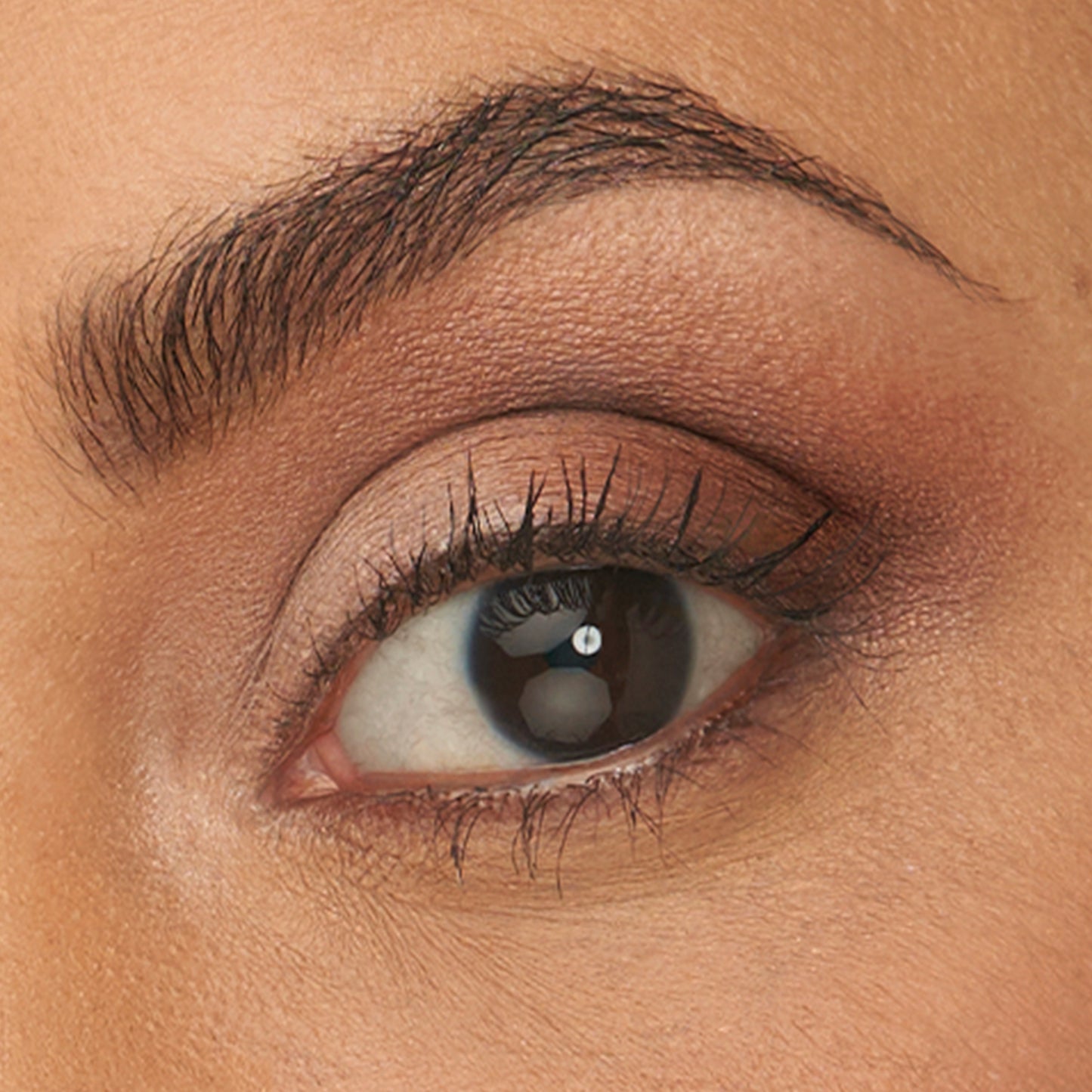 PurePressed Eye Shadow Palette