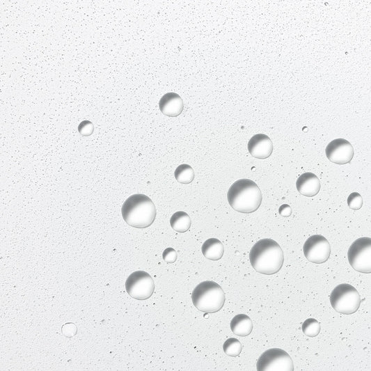 hyaluronic ceramide mist